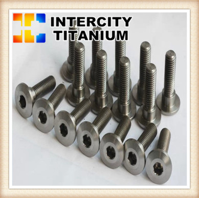 Titanium Screws