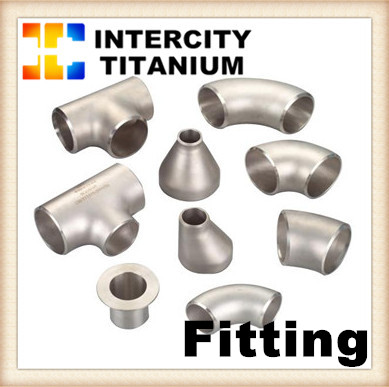 Titanium pipe fittings  